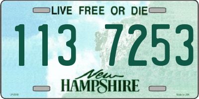 NH license plate 1137253