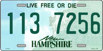 NH license plate 1137256