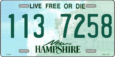 NH license plate 1137258