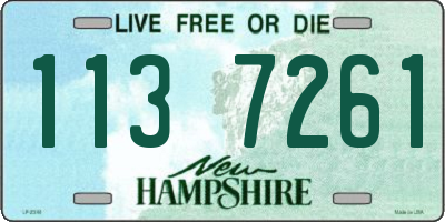 NH license plate 1137261