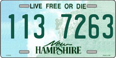 NH license plate 1137263