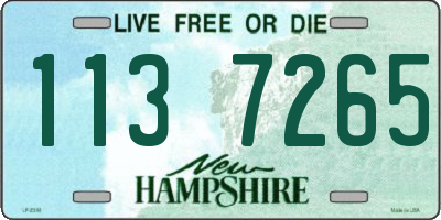 NH license plate 1137265