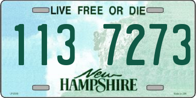 NH license plate 1137273
