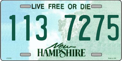 NH license plate 1137275