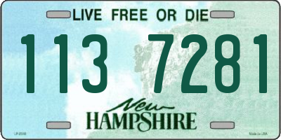 NH license plate 1137281