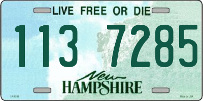 NH license plate 1137285