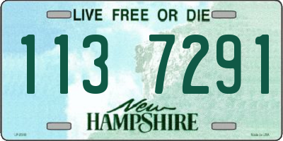 NH license plate 1137291