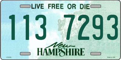 NH license plate 1137293
