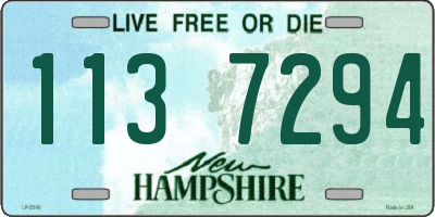 NH license plate 1137294