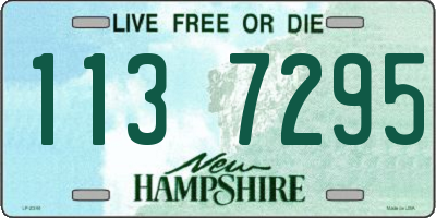 NH license plate 1137295