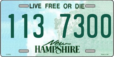NH license plate 1137300
