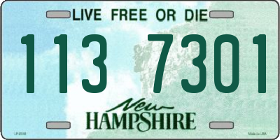 NH license plate 1137301