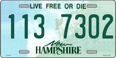 NH license plate 1137302