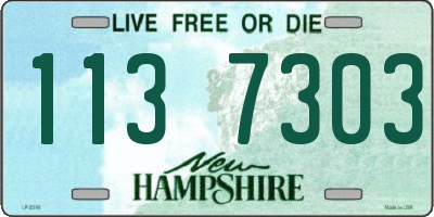 NH license plate 1137303