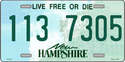 NH license plate 1137305