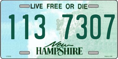 NH license plate 1137307