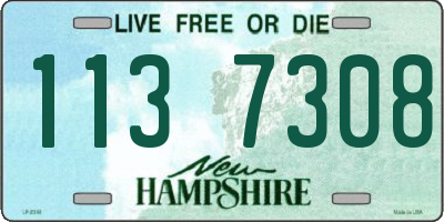NH license plate 1137308