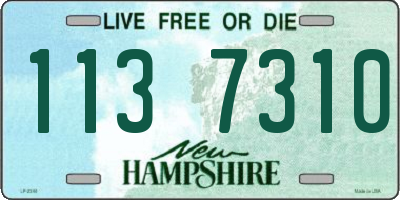 NH license plate 1137310