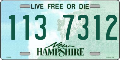 NH license plate 1137312