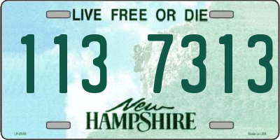 NH license plate 1137313