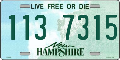 NH license plate 1137315