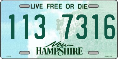 NH license plate 1137316