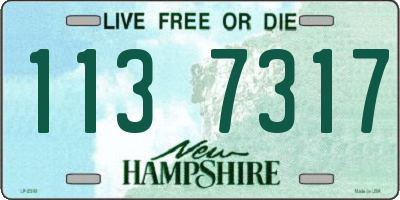 NH license plate 1137317