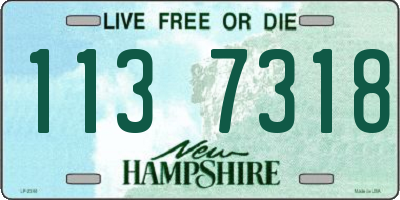 NH license plate 1137318