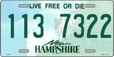 NH license plate 1137322