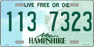 NH license plate 1137323