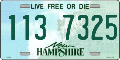 NH license plate 1137325