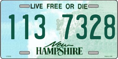 NH license plate 1137328