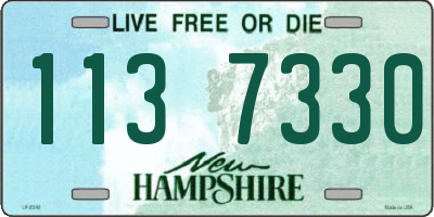 NH license plate 1137330