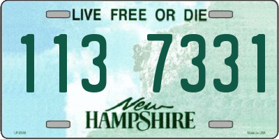NH license plate 1137331