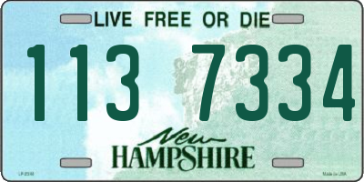 NH license plate 1137334