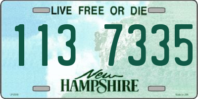 NH license plate 1137335