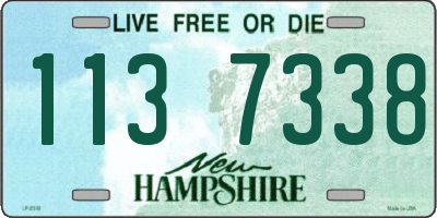 NH license plate 1137338