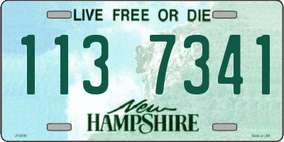 NH license plate 1137341