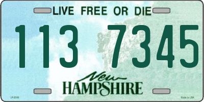 NH license plate 1137345