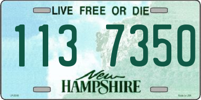 NH license plate 1137350