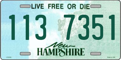 NH license plate 1137351