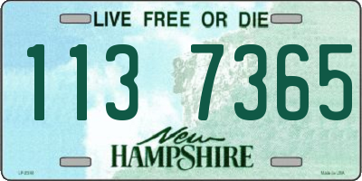 NH license plate 1137365
