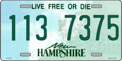 NH license plate 1137375