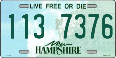 NH license plate 1137376