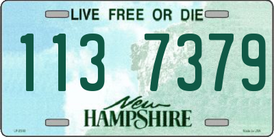 NH license plate 1137379