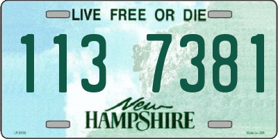 NH license plate 1137381
