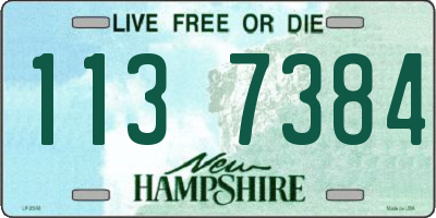 NH license plate 1137384