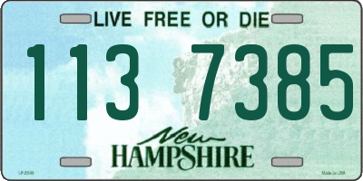NH license plate 1137385