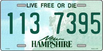 NH license plate 1137395