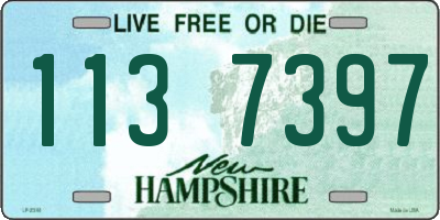 NH license plate 1137397